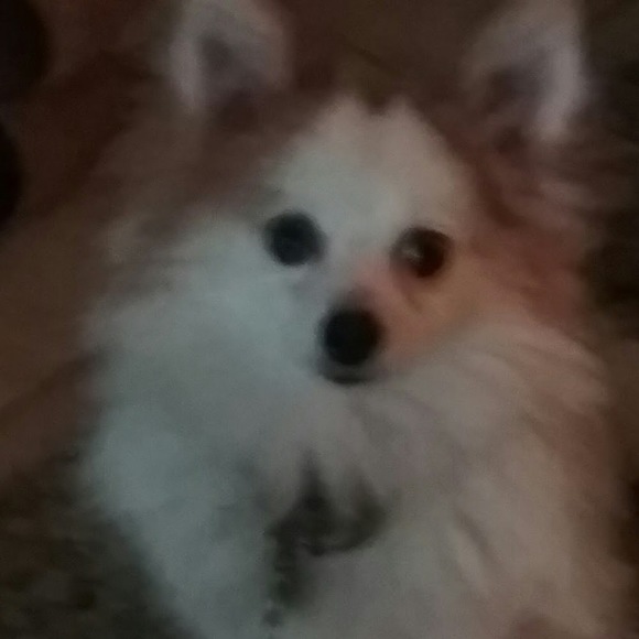 Meet your Posher, Judith - Picture 1 of 1